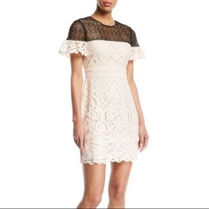 Club Monaco wollstan eyelet lace sheath mini dress